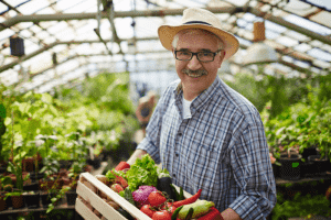 הזמנת ירקות מחקלאי - להזמין לבית את כל הבריאות שבירקות ישר מהחקלאי